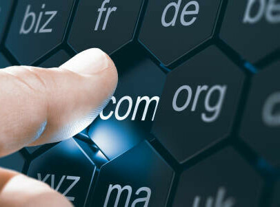 A Step-by-Step Guide To Starting A Profitable Blog image 4 several buttons with domain name endings available like dotcom or dot biz make xtra money online